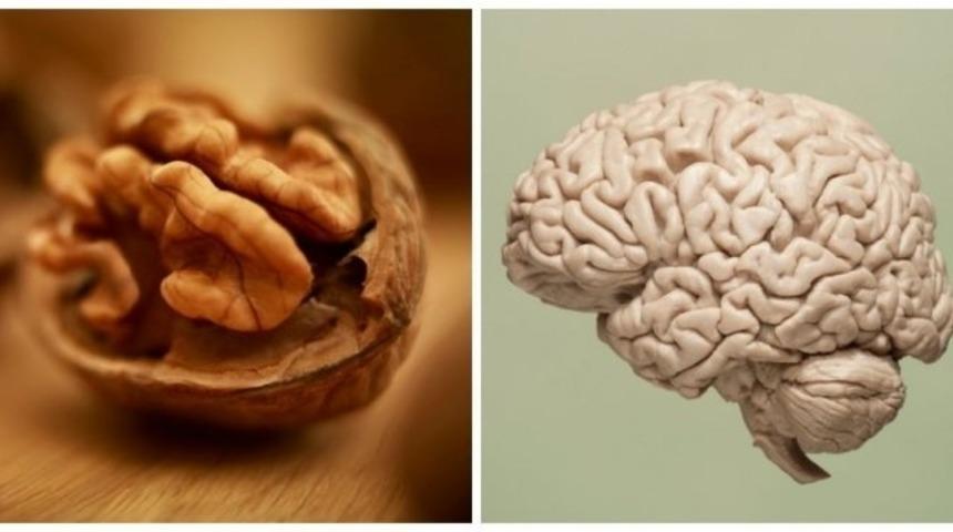 Tipinden Belliydi Zaten... Bu Sebzeler, V&uuml;cudumuzda İyi Geldikleri Organlara Benziyorlar!