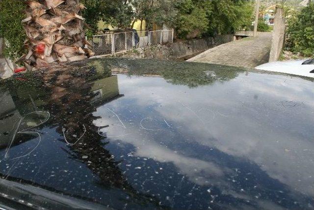 Terk Edilen Genç Kızın İntikam Aldığı İddiası