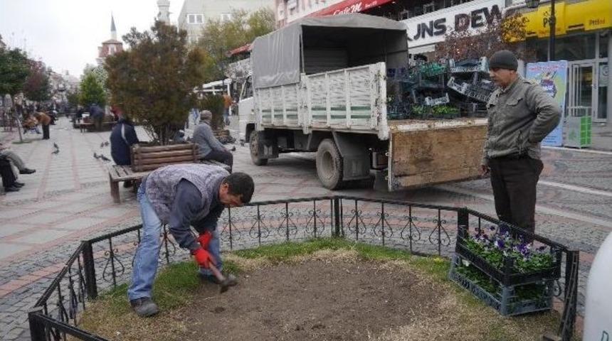 Sara&ccedil;lar Menekşe İle S&uuml;slendi