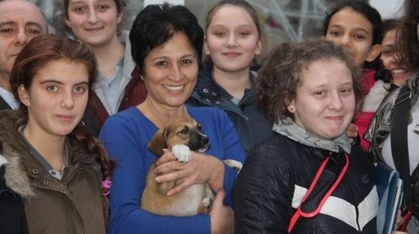 Sokak Hayvanları İ&ccedil;in Kermes