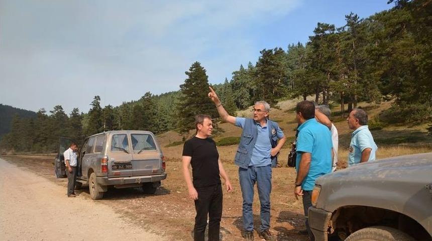 Orman Bölge Müdürü Adnan Kayım: Yanan Orman Alanları 1 Yıl İçerisinde Ağaçlandırılacak