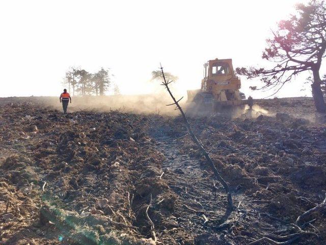 Orman Bölge Müdürü Adnan Kayım: Yanan Orman Alanları 1 Yıl İçerisinde Ağaçlandırılacak 1