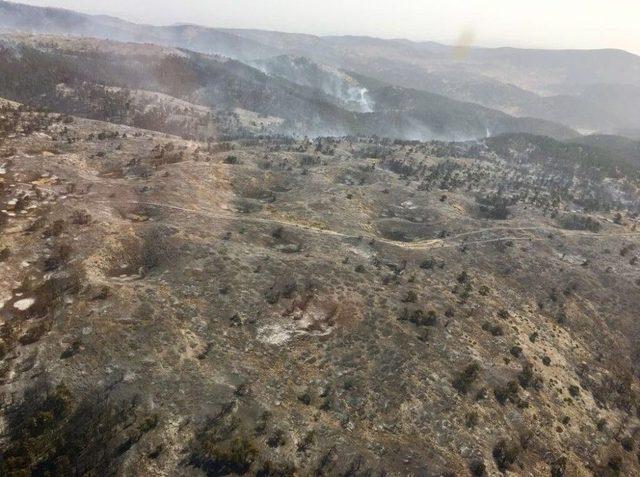 Orman Bölge Müdürü Adnan Kayım: Yanan Orman Alanları 1 Yıl İçerisinde Ağaçlandırılacak 2