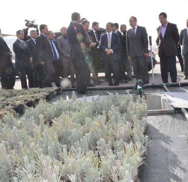 Çevre Ve Şehircilik Bakanı İdris Güllüce Konya’da