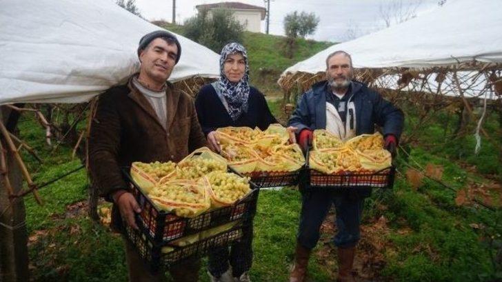 Üzüm Sezonunu Pasta Keserek Tamamladı G3
