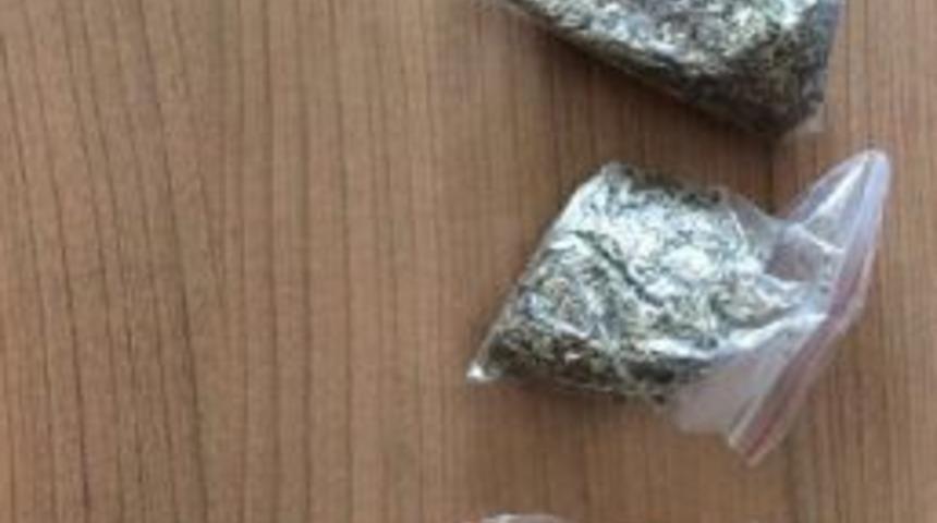 Oturdukları Koltuğun Altında Bonzai Bulundu