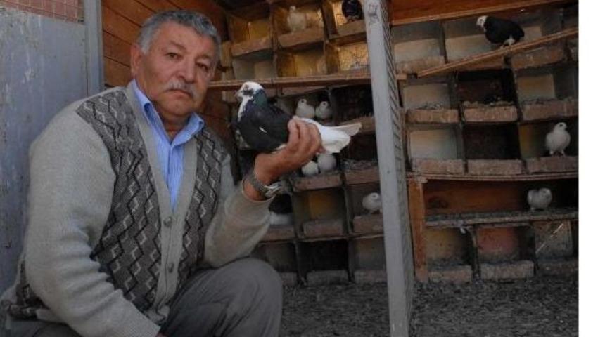 G&uuml;vercin Besleme Cezasını İptal Ettirdi