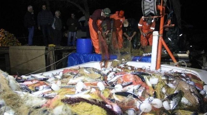 Tutulan Palamutlar Tekneye Sığmadı
