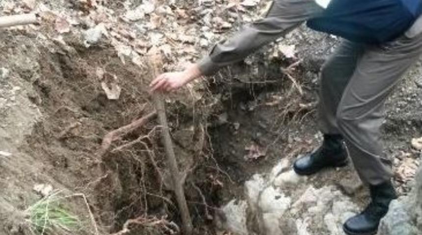 Bursa&rsquo;da İzinsiz Kazı Operasyonu