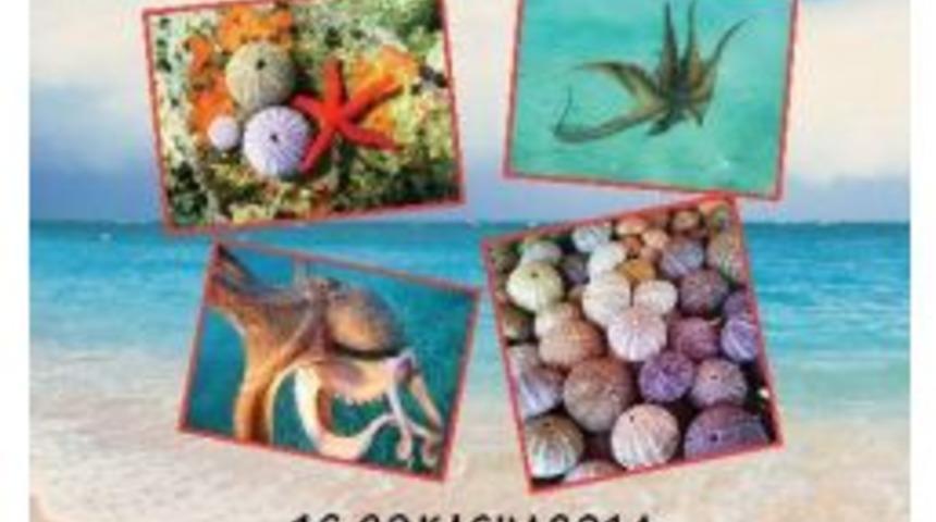 Canaydın&rsquo;dan, Urla&rsquo;da &ldquo;su Altı Renkleri&rdquo; Sergisi