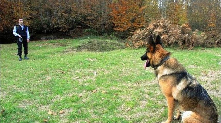 (&ouml;zel) Afet, Komando Gibi Eğitiliyor