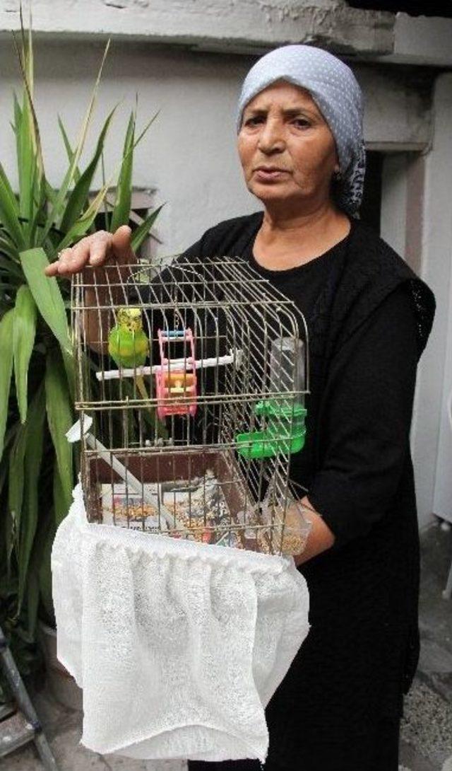 Muhabbet Kuşunu &Ccedil;alıp Evi Ateşe Verdi 1