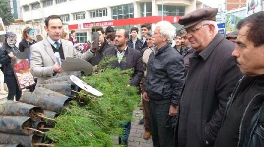 &Ouml;ğrenciler Kuraklığa Karşı Fidan Dağıttı