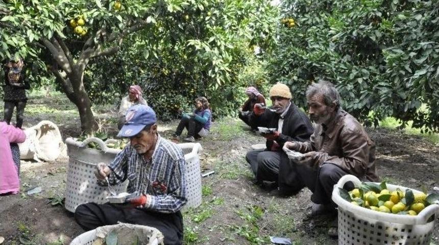 Sağlık &Ccedil;alışanları Tarım İş&ccedil;ilerine Aşure Dağıttı