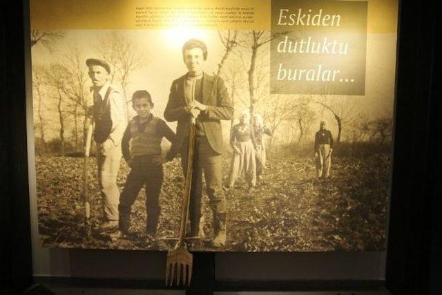 Nilüfer’in Hikayesi Gün Yüzüne Çıktı 1