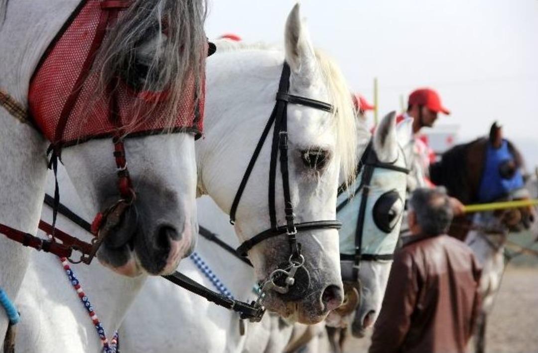 Erzurum&rsquo;da Cirit Turnuvası Start Aldı