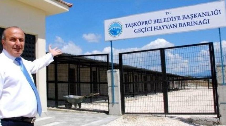 B&ouml;lgenin İlk Hayvan Barınağı Taşk&ouml;pr&uuml;&rsquo;de Kuruldu