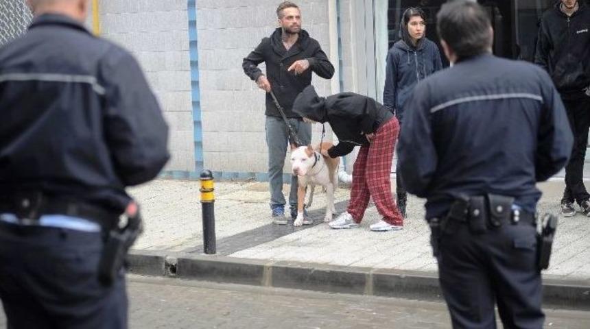 Çanakkale’de Pitbull Dehşeti