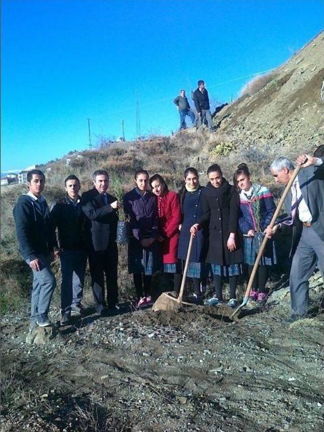 Sincik Çpl’den ’geleceğe Yaşam Dikiyoruz’ Projesi