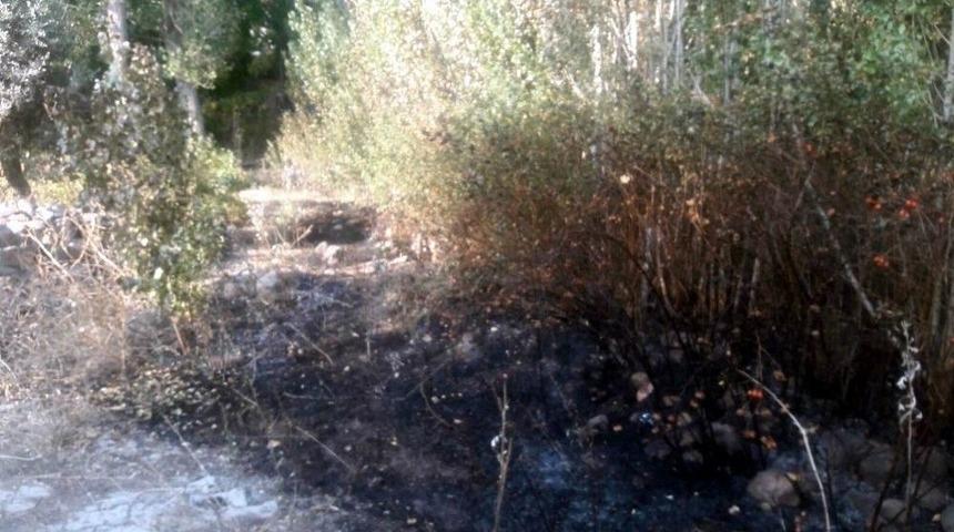 Bah&ccedil;esindeki Otları Yakarken Yanarak &Ouml;ld&uuml;