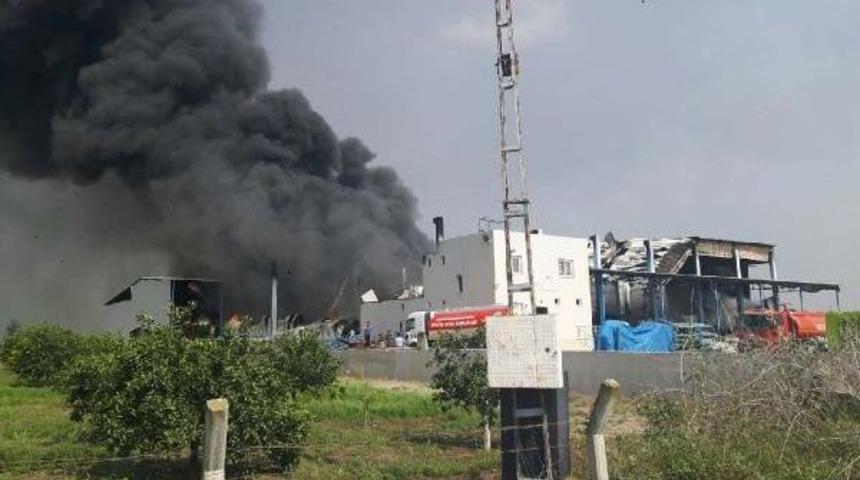 Tarsus'ta Korkutan Yangın