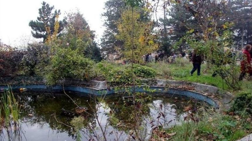 Tarihi Eşrefiler Yetiştirme Yurdu&rsquo;nun Yıkılmasına Tepki
