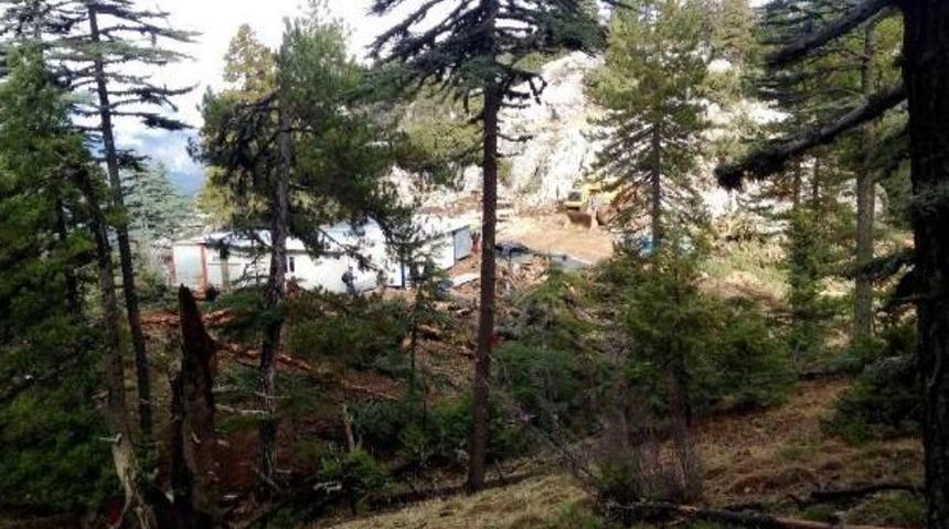 Antalya'da 800 Yıllık Sedirler Mermer Ocağı Kurbanı