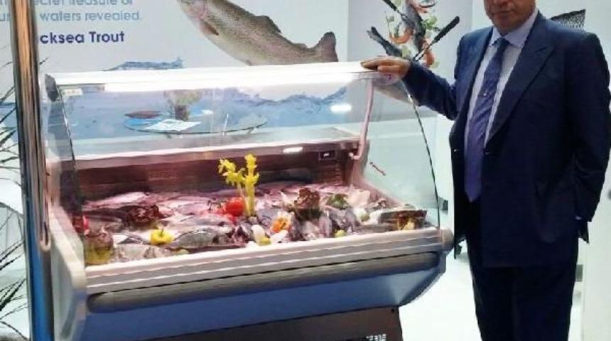 "ihracatın Yeni Yıldızı Karadeniz Somonu Olacak"