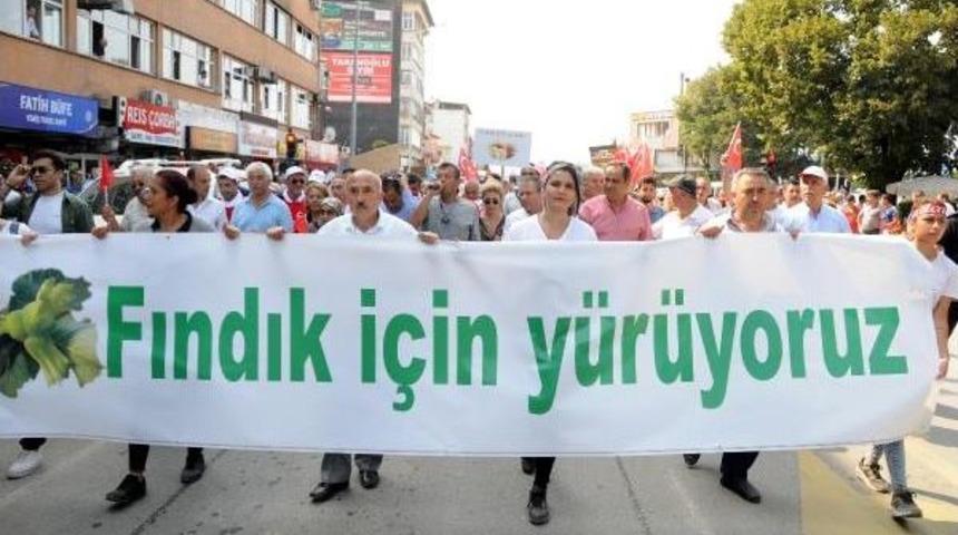 Chp'nin 'fındık' Y&uuml;r&uuml;y&uuml;ş&uuml; Ikinci G&uuml;n&uuml;nde (2)
