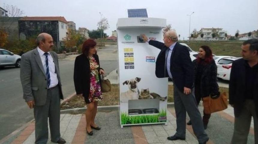 Hem Geri D&ouml;n&uuml;ş&uuml;m Sağlıyor Hem De Sokak Hayvanlarını Doyuruyor