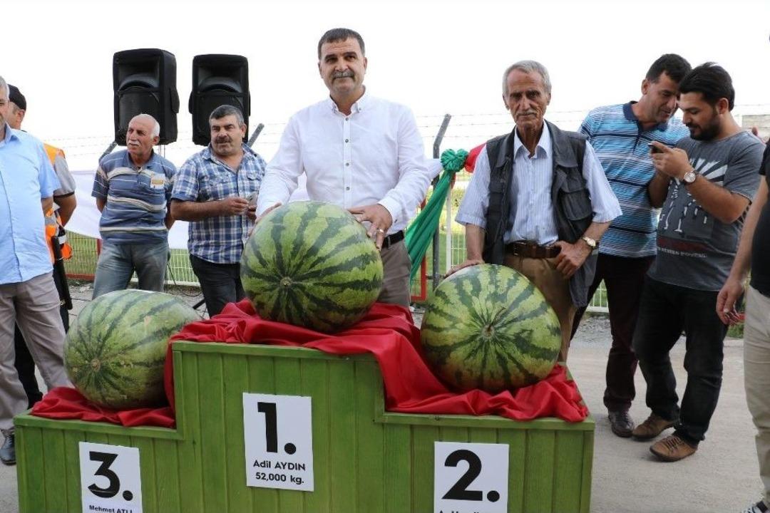 Diyarbakır&rsquo;ın En Ağır Karpuzu Se&ccedil;ildi