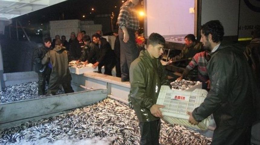 Sinop&rsquo;ta Hamsi Bereketi