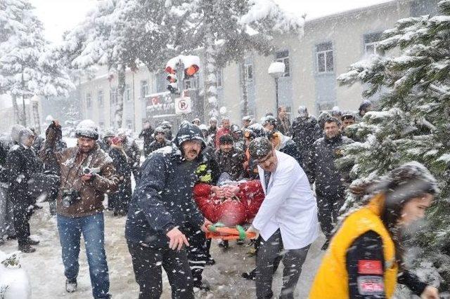 Kara Dayanamayan Çam Dalı Devrildi, 1 Yaralı