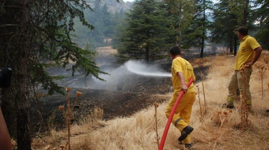 Tokat&rsquo;ta Ot Yangını B&uuml;y&uuml;meden S&ouml;nd&uuml;r&uuml;ld&uuml;
