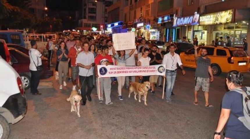 Hayvanseverler, Tekmeli Saldırıya Uğrayan Mia I&ccedil;in Y&uuml;r&uuml;d&uuml;