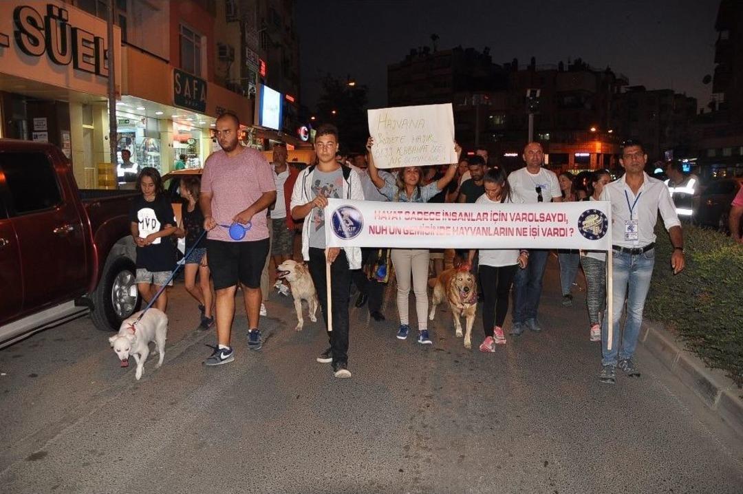 Hayvanseverler Tekme Atılan K&ouml;pek İ&ccedil;in Y&uuml;r&uuml;d&uuml;