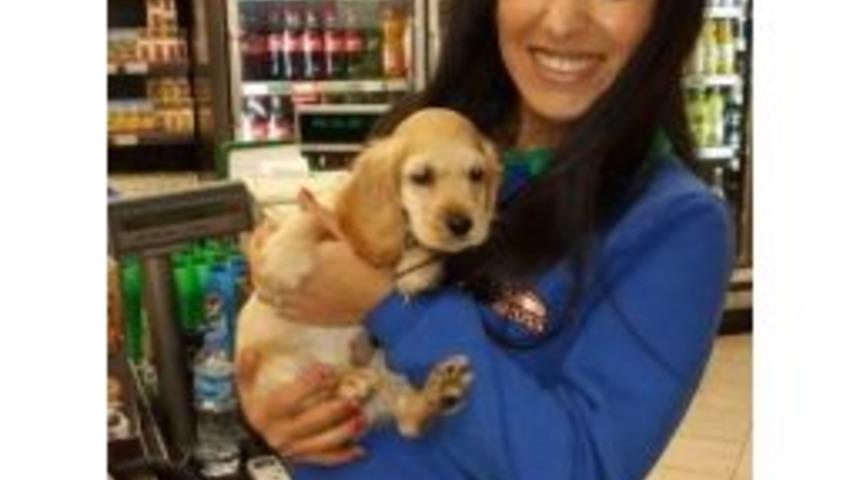 Eski Sevgilisinin Bı&ccedil;akladığı Kadın &Ouml;ld&uuml;