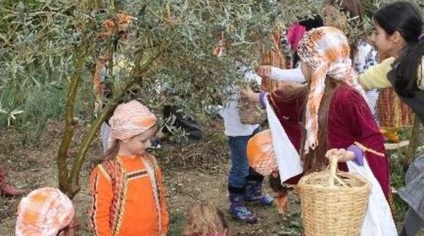 Urlalı &Ouml;ğrencilerin Hasat Şenliği