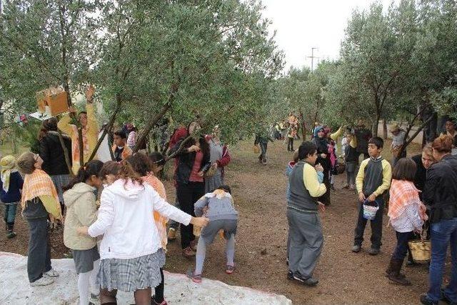 Urlalı Öğrencilerin Hasat Şenliği