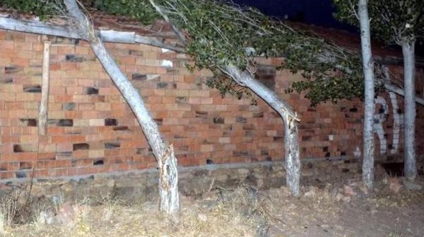 Yozgat'ta Şiddetli R&uuml;zgar &Ccedil;atıları U&ccedil;urdu, Ağa&ccedil;ları K&ouml;k&uuml;nden S&ouml;kt&uuml;
