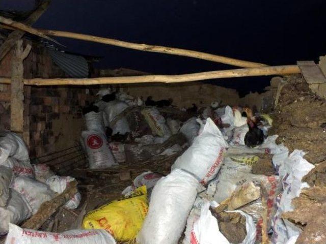 Yozgat ta Şiddetli R&uuml;zgar &Ccedil;atıları U&ccedil;urdu, Ağa&ccedil;ları K&ouml;k&uuml;nden S&ouml;kt&uuml; 2