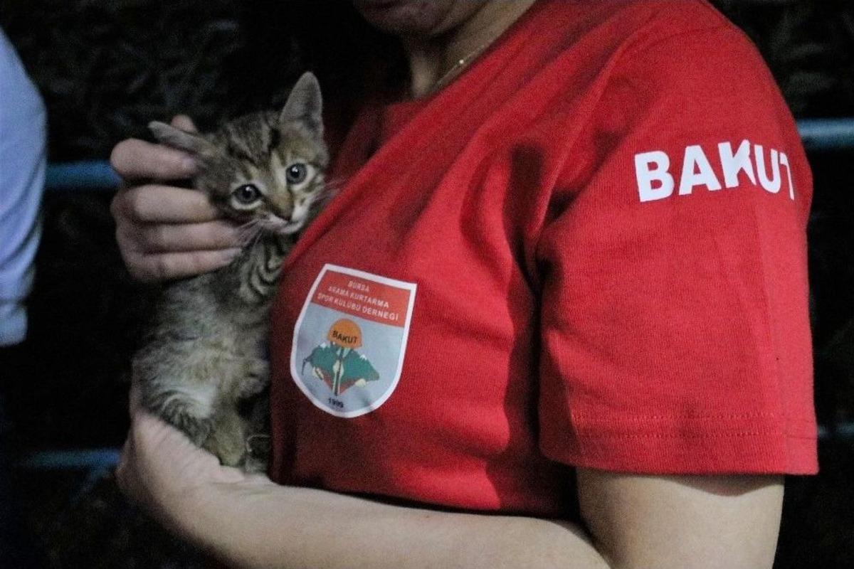 (&ouml;zel Haber) Metro İstasyonunda Kedi Kurtarma Operasyonu