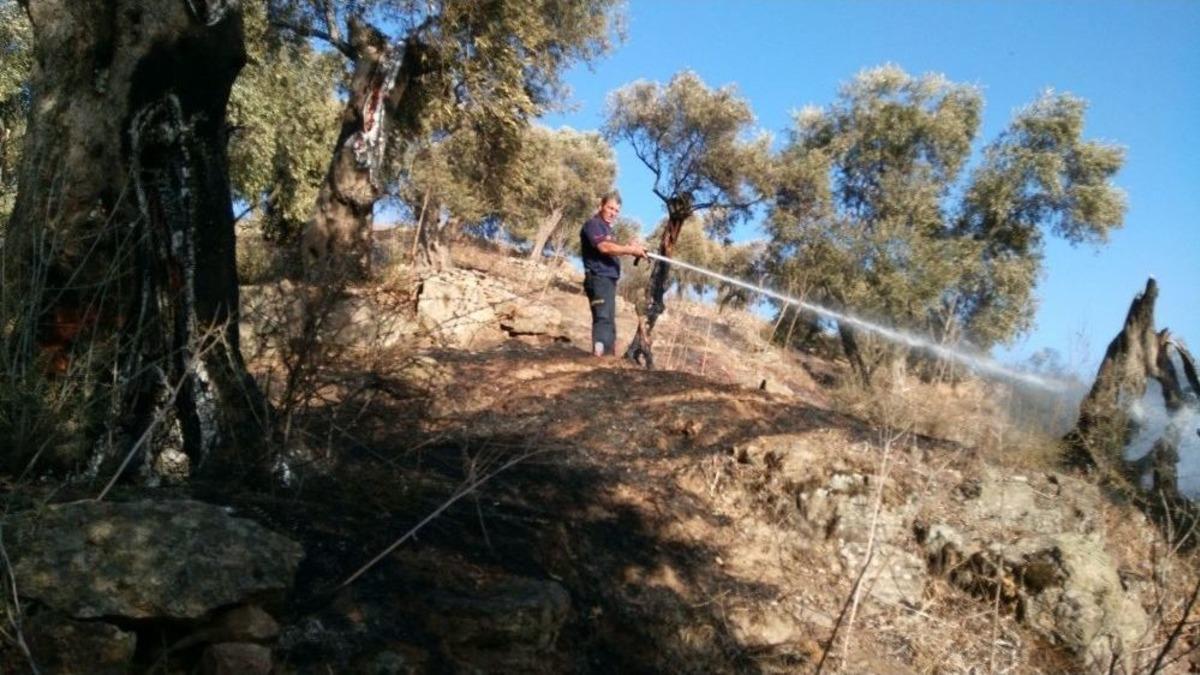 Facia Ucuz Atlatıldı