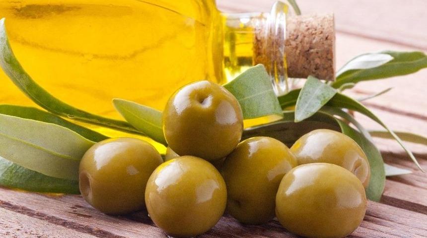 Zeytin Ve Zeytinyağı Sekt&ouml;r&uuml; Hasan K&ouml;şkl&uuml; Anısına Aydın&rsquo;da Buluşuyor