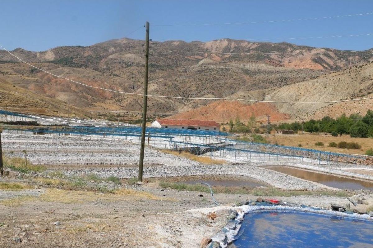 Kemah Tuzuna Talep Artıyor