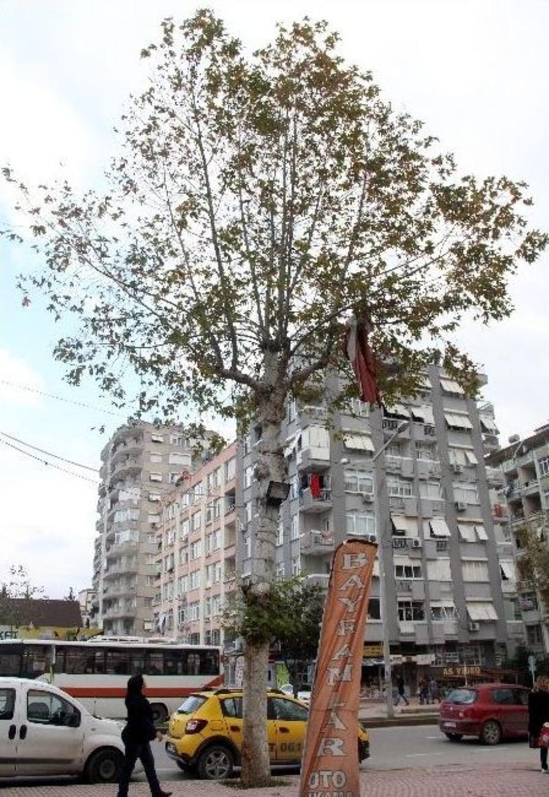 Ağa&ccedil;taki T&uuml;rk Bayrağı Sahipsiz Kaldı