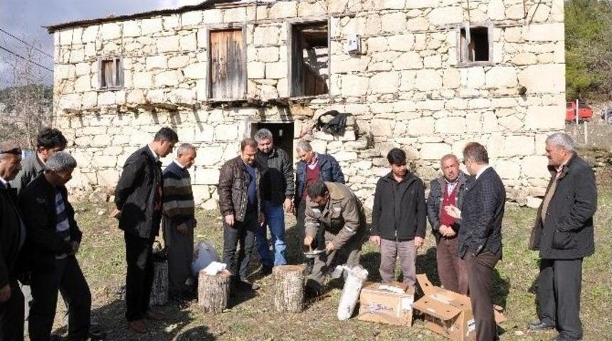 Mersin&rsquo;de K&ouml;yl&uuml;ye Mantar Yetiştiriciliği Eğitimi