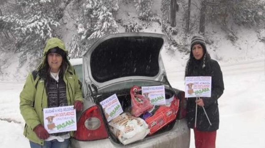 Uludağ'daki Yaban Hayvanlarına Yiyecek Bıraktılar