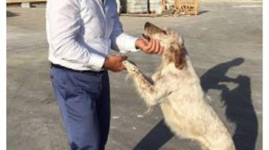 Başkan Akg&uuml;n: &ldquo;minik Dostlarımıza Bakamayacaksanız Sahiplenmeyin&rdquo;