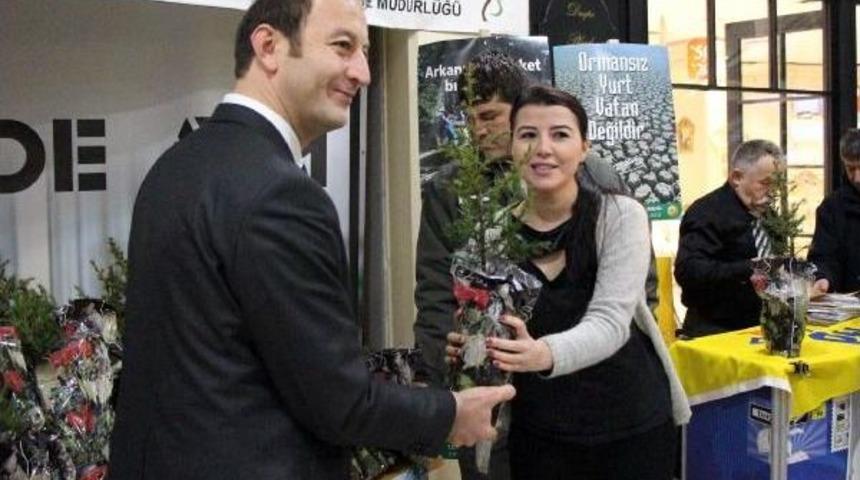 Ormancıların Yılbaşı Hediyesi Fidan